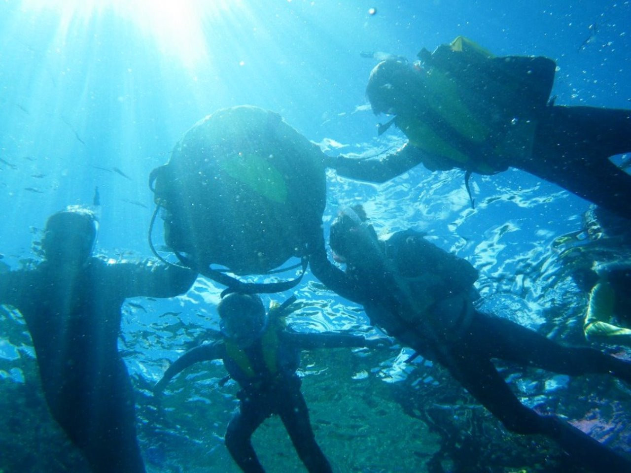 アルガイド沖縄 B 　　　　 　『青の洞窟シュノーケリングの冒険』