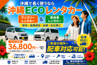 軽自動車からミニバン、商用車まで各車種対応可能。
