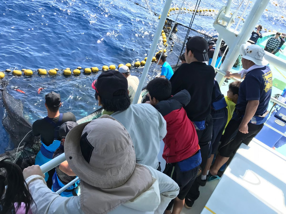 定置網漁体験（OSC&国頭漁業協同組合）