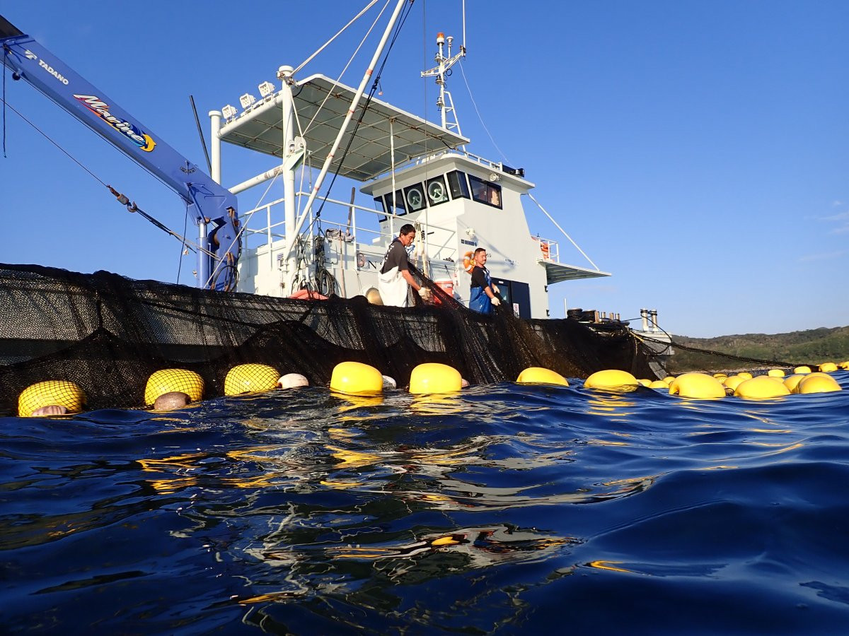 定置網漁体験（OSC&国頭漁業協同組合）