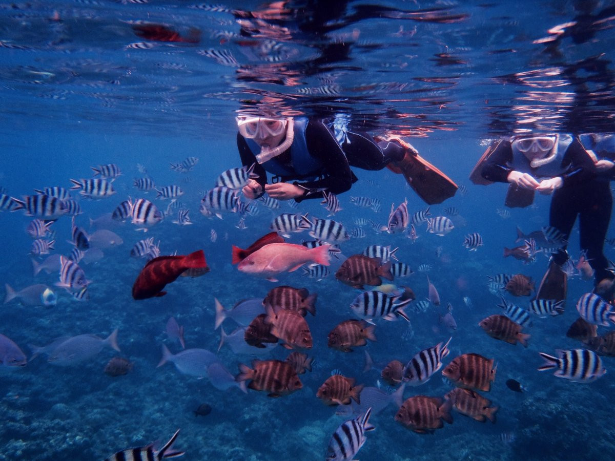 『青の洞窟』へ行くなら！！　マリンクラブUMI