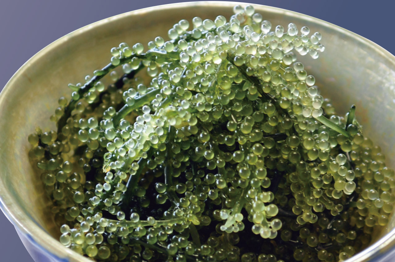 海辺の居酒屋 島唄（リザンシーパークホテル谷茶ベイ）