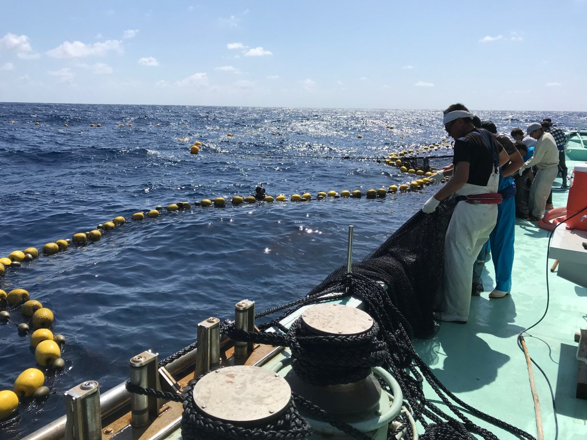 やんばる東海岸ブルー・ツーリズム拠点施設