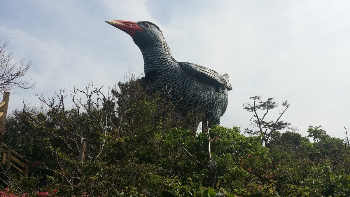 ヤンバルクイナ展望台