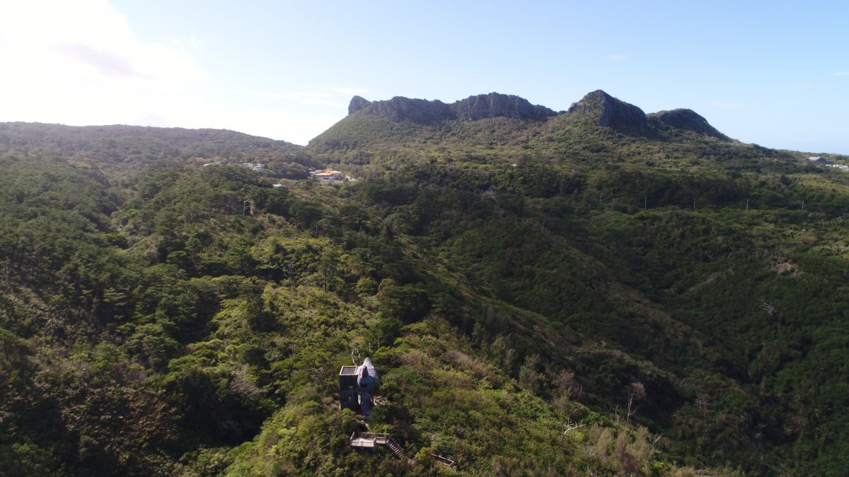 ヤンバルクイナ展望台