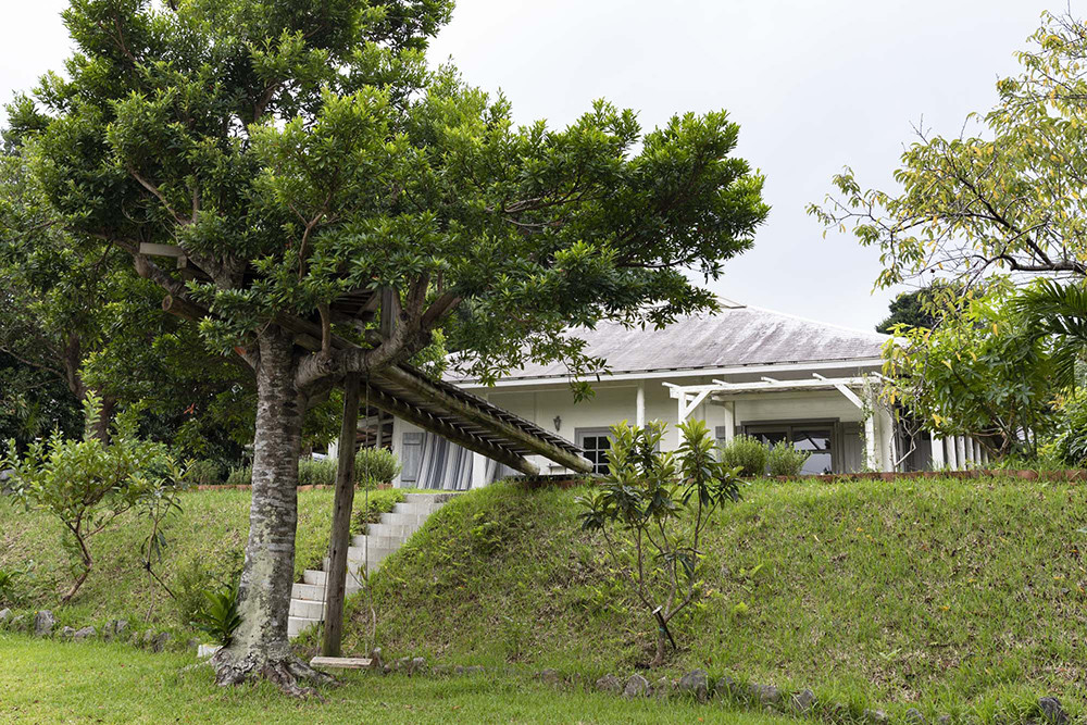 森の食堂 smile spoon