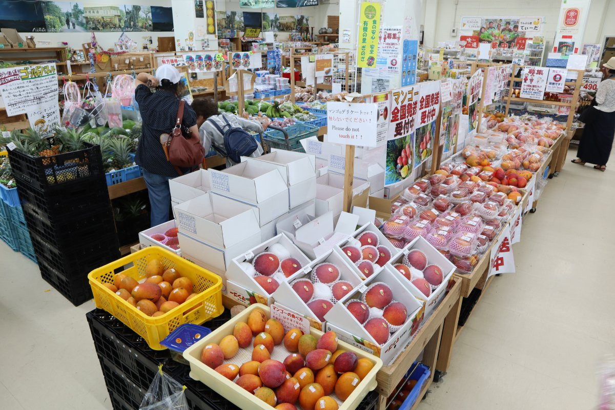 道の駅「ぎのざ」