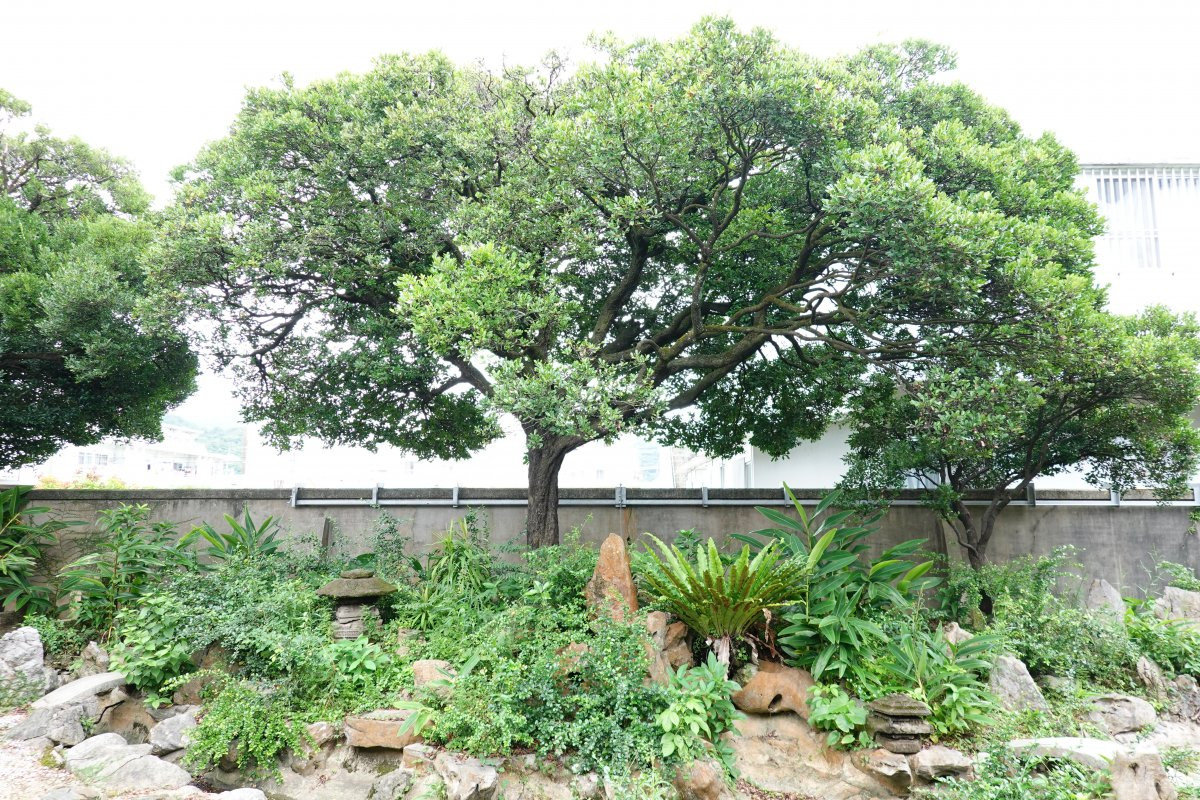 津嘉山酒造所(国指定重要文化財)