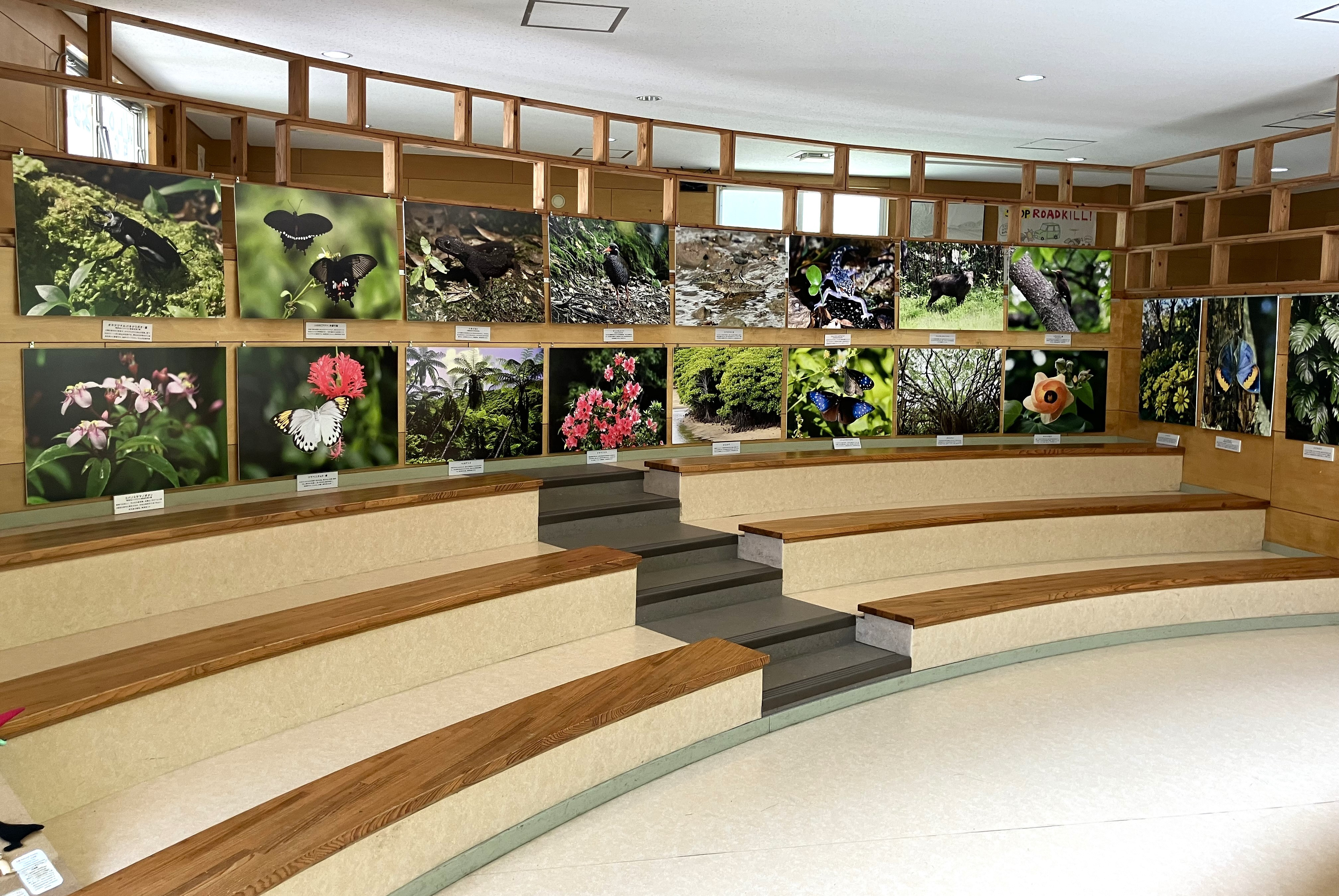 ヤンバルクイナ生態展示学習施設 クイナの森