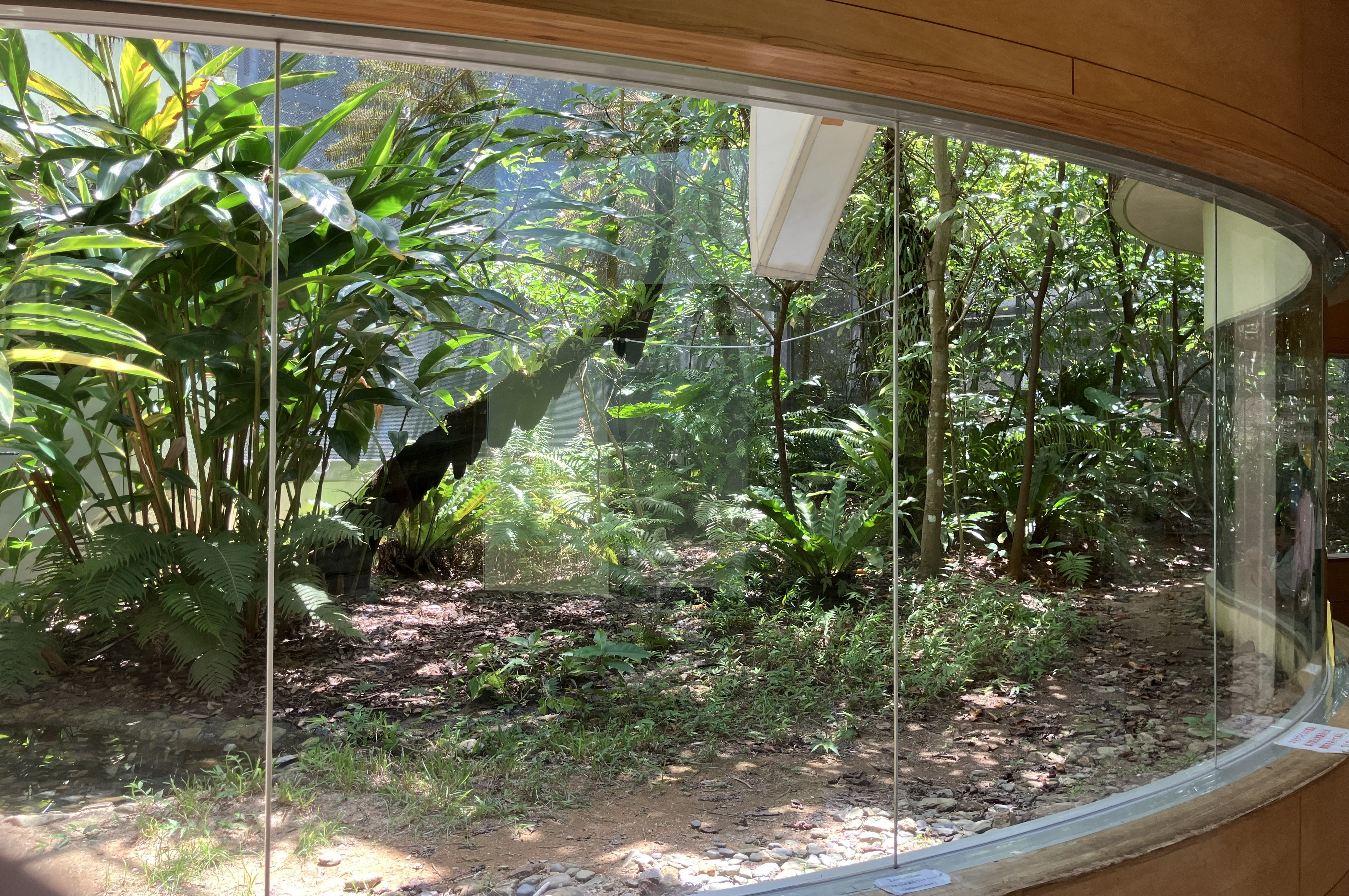 ヤンバルクイナ生態展示学習施設 クイナの森