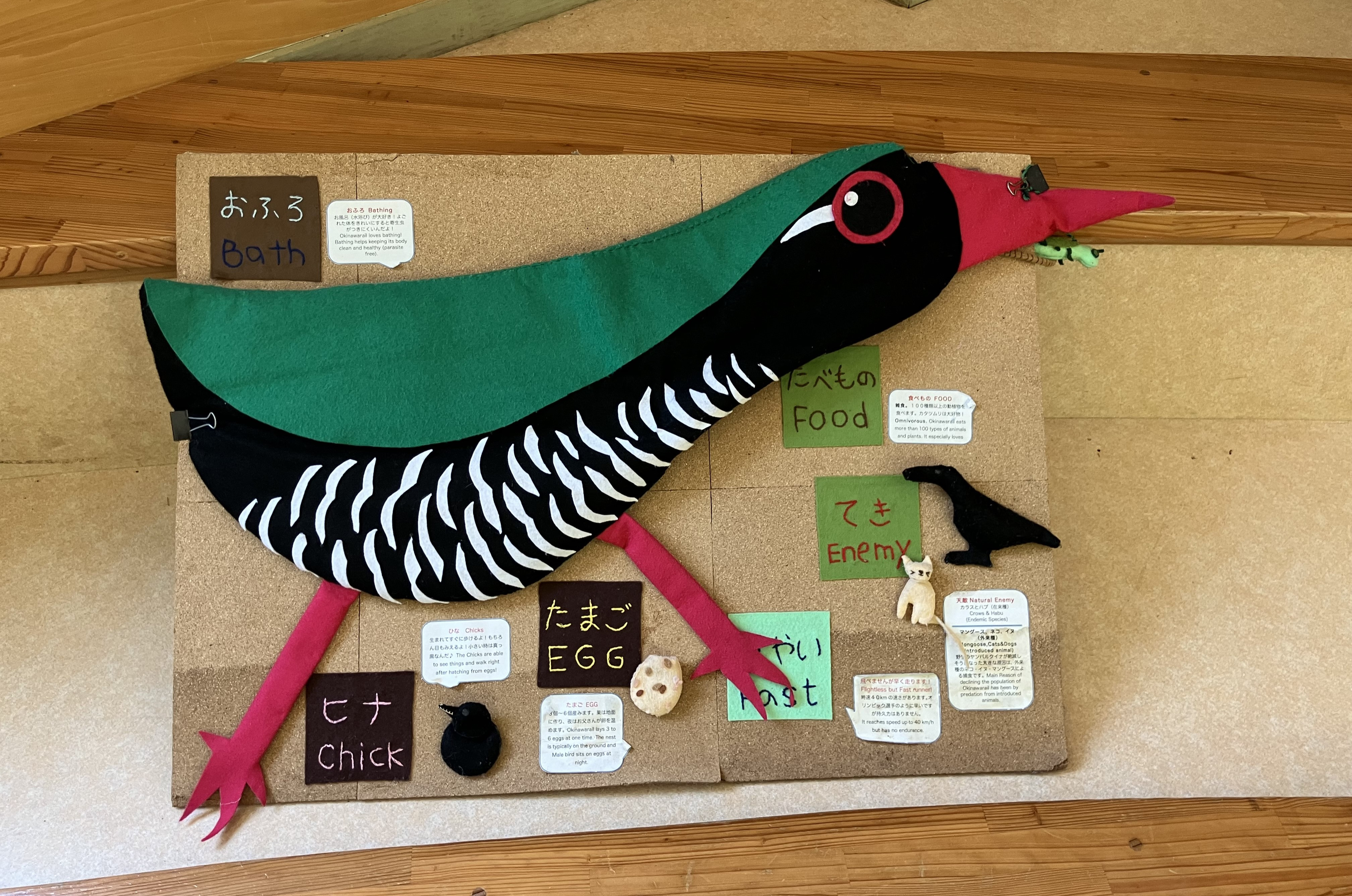 ヤンバルクイナ生態展示学習施設 クイナの森