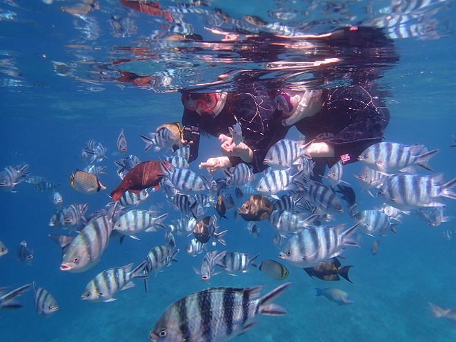 フラットピースチェアハウスーMoon Beachー