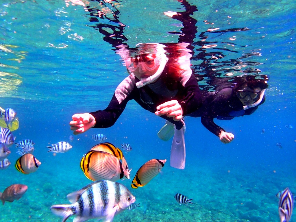 沖縄アンダゴ【3歳～グループ貸切り】熱帯魚と青の洞窟シュノーケル