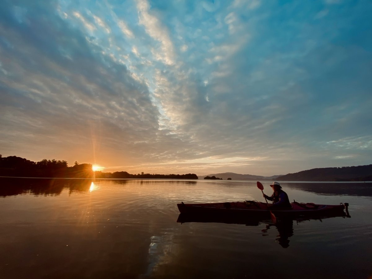 ツリーハウスホテル　森の巣箱