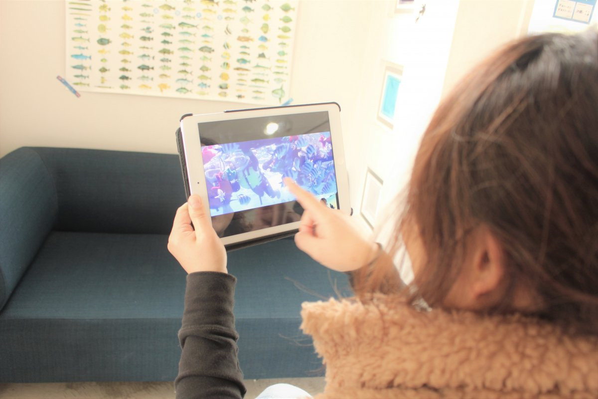 株式会社ナチュラルブルー（真栄田岬店）