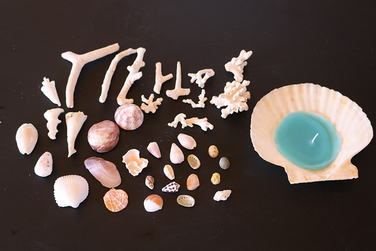 一般社団法人いぜな島観光協会