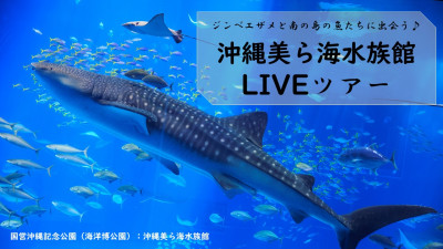 沖縄美ら海水族館 LIVEツアー（HIS）