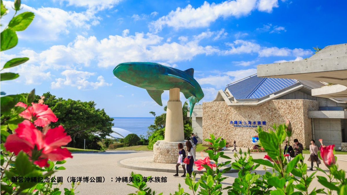 沖縄美ら海水族館 LIVEツアー（HIS）