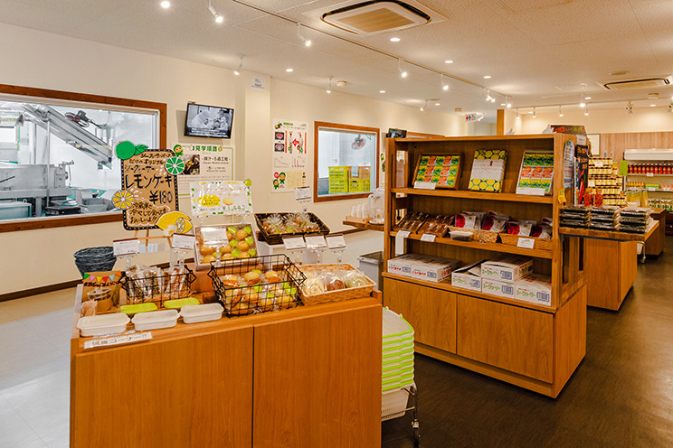 大宜味シークヮーサーパーク