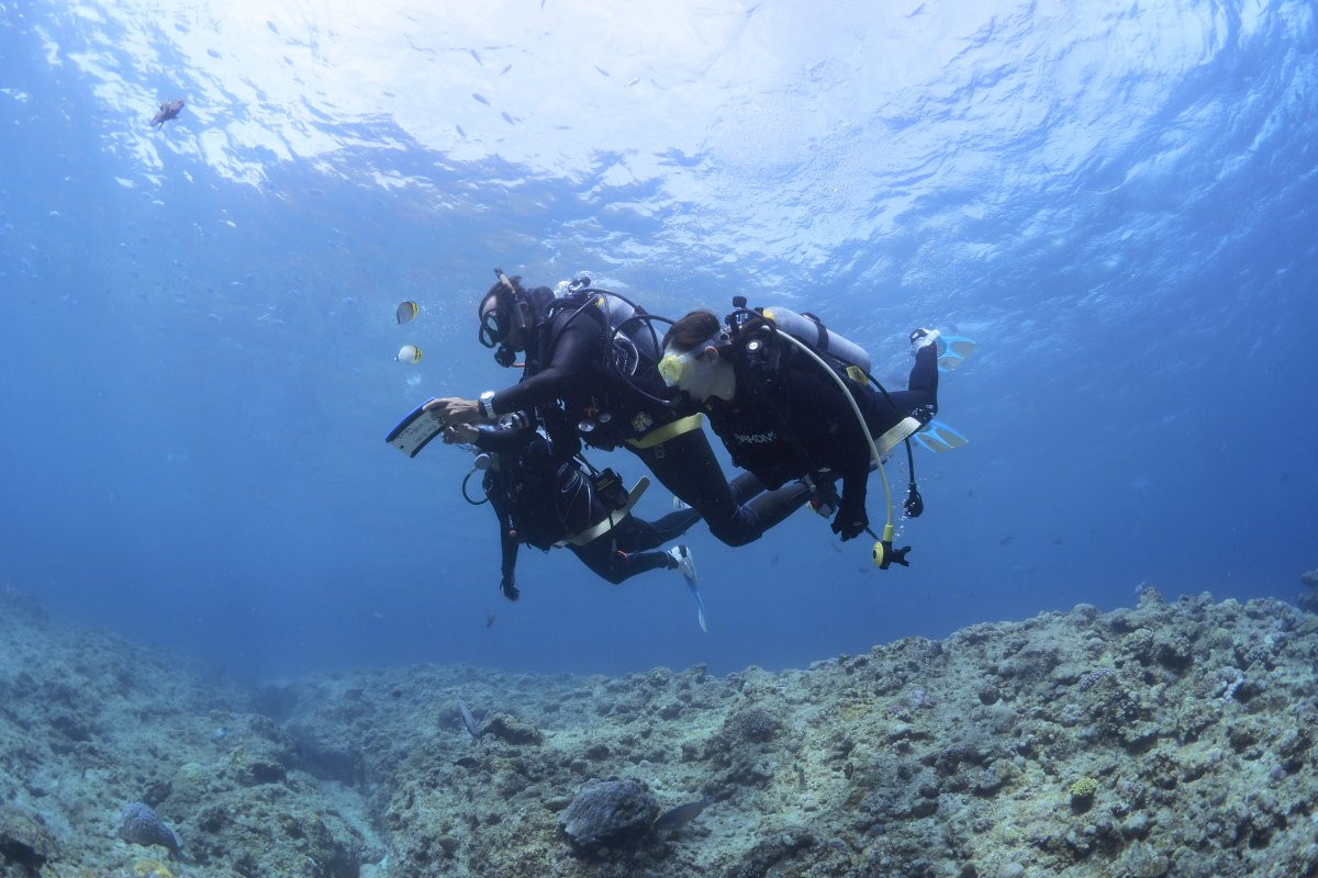 沖縄青の洞窟ダイビング・シュノーケル予約 -沖楽 おきらく-