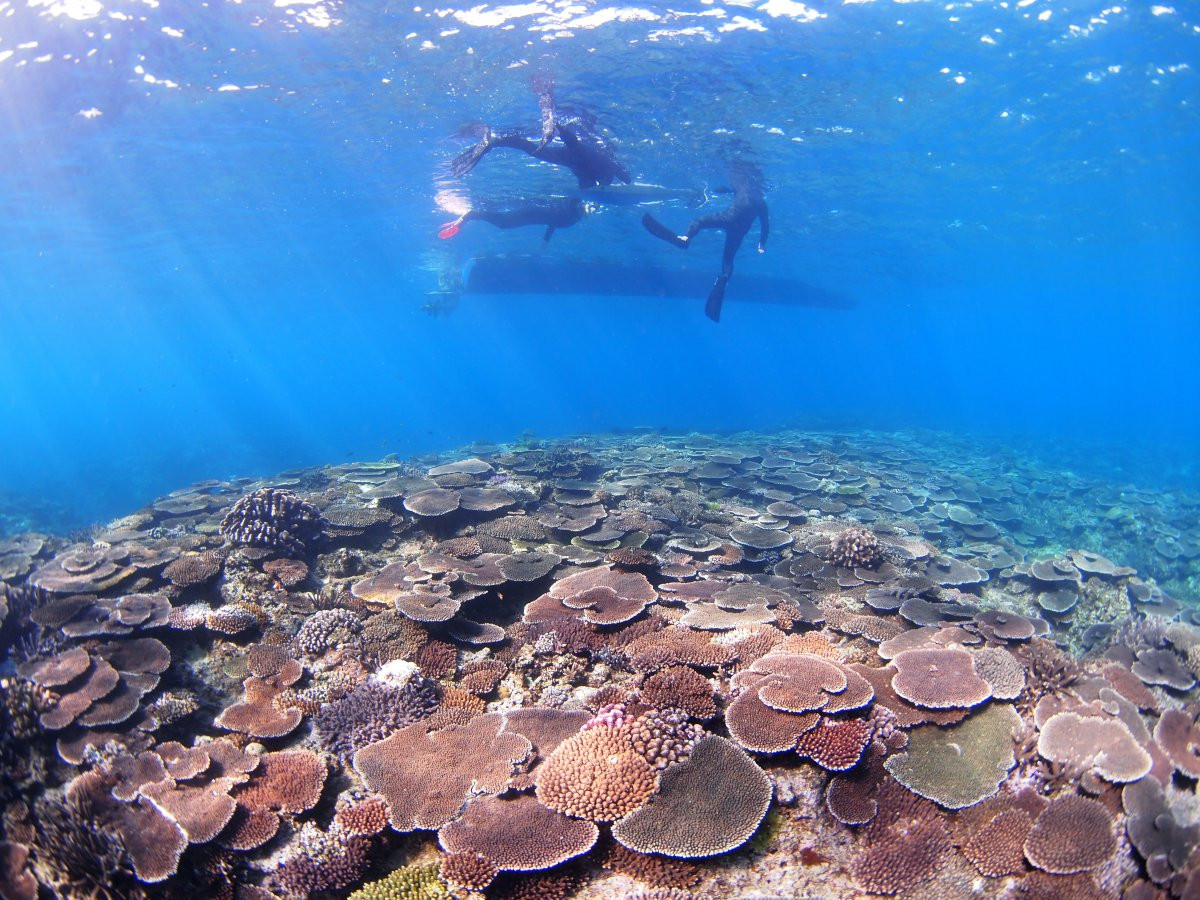 沖縄シュノーケリング予約 -沖楽 おきらく-