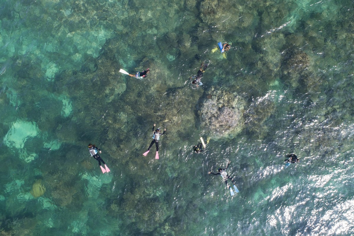 沖縄シュノーケリング予約 -沖楽 おきらく-