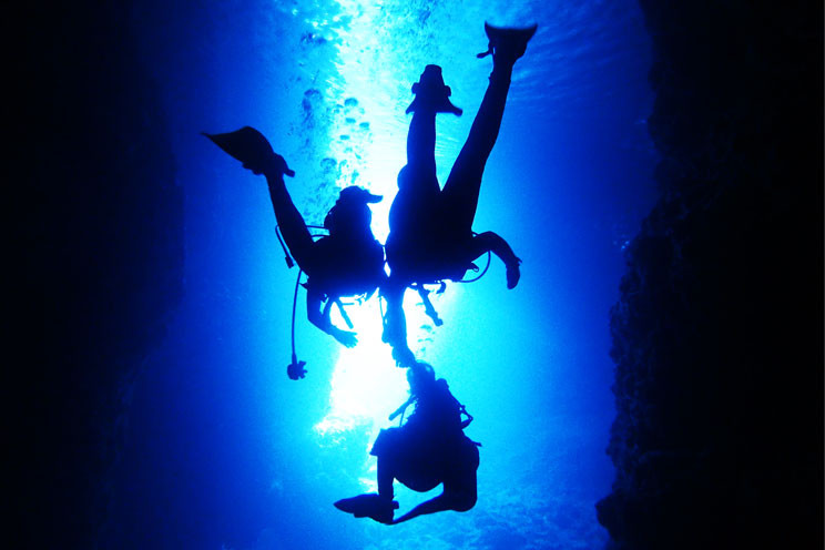 沖縄体験ダイビング予約 -沖楽 おきらく-