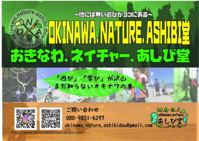 okinawa.nature.ashibi堂の観光情報
