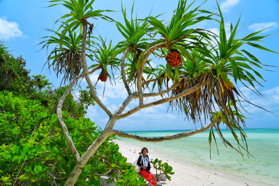石垣島アドベンチャーフォトツアーKIBOU