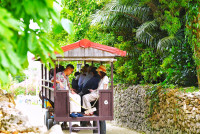 【今年は石垣島デビューしよう♪キラキラ✨の絶景スポット島巡り?】