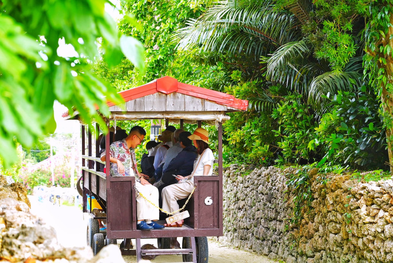 【今年は石垣島デビューしよう♪キラキラ✨の絶景スポット島巡り?】