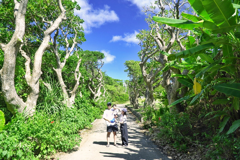 【大人の石垣島旅行☆お値打ちプラン!】石垣島を120%満喫するトラベルフォトツアー?