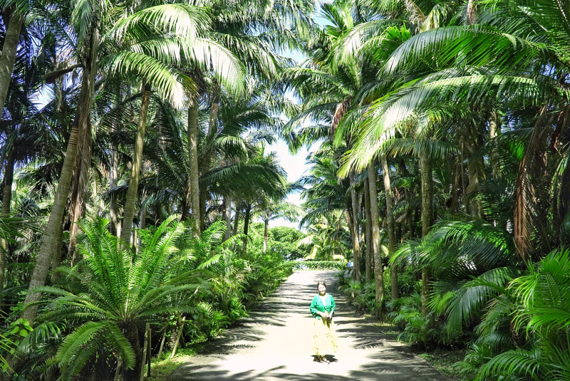 『南ぬ島石垣島』沖縄が何倍も好きなる島旅のご提案をしています♫