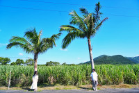 ・カップル・ハネムーン・女子旅やファミリーにおススメ♪ ・1組限定の貸切ツアー