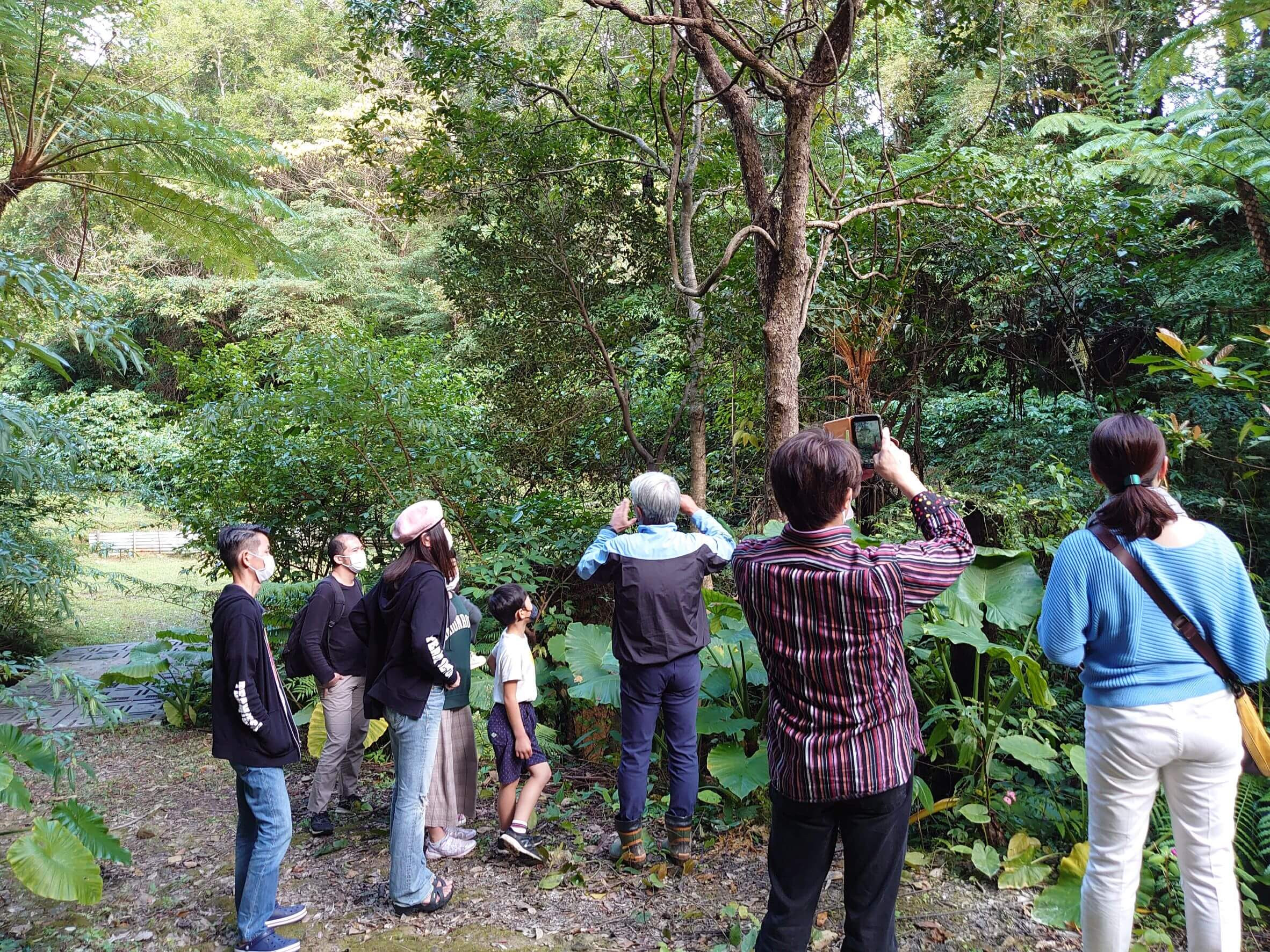 中山コーヒー園