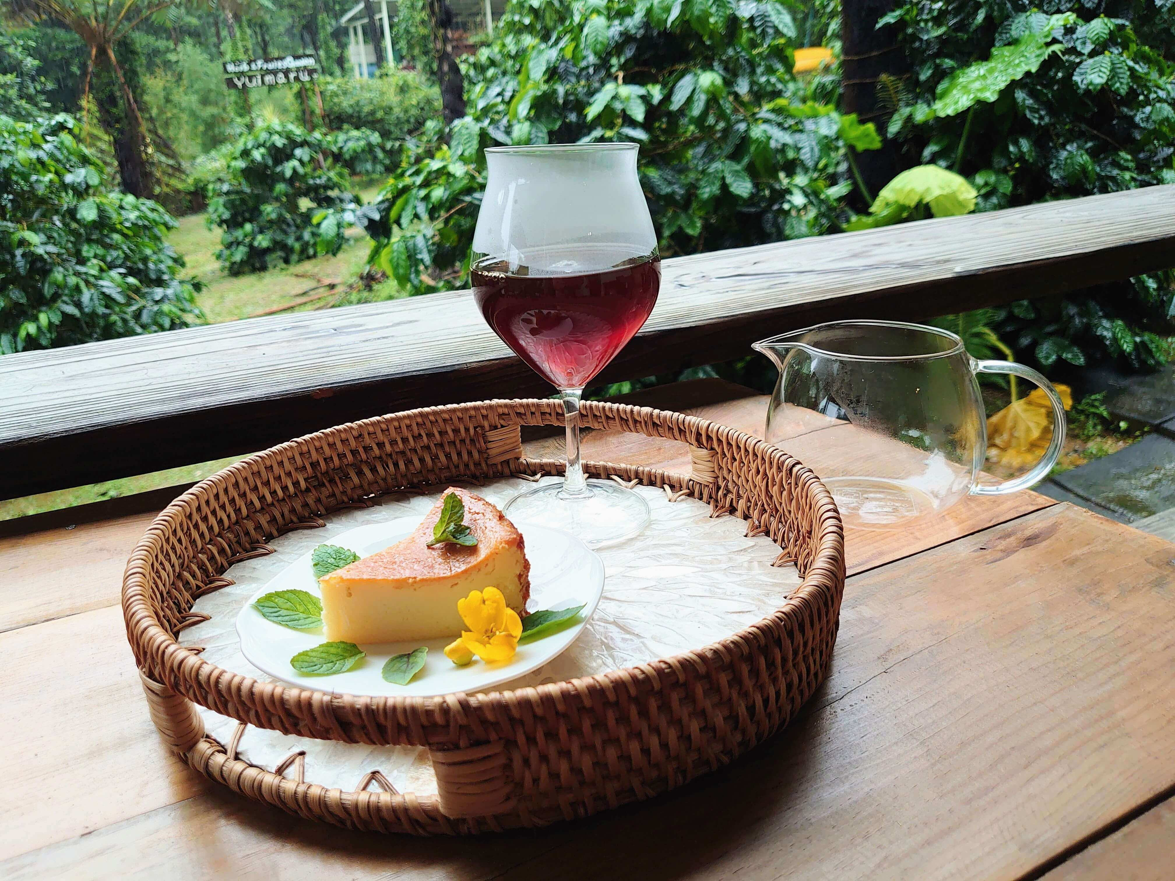 中山コーヒー園