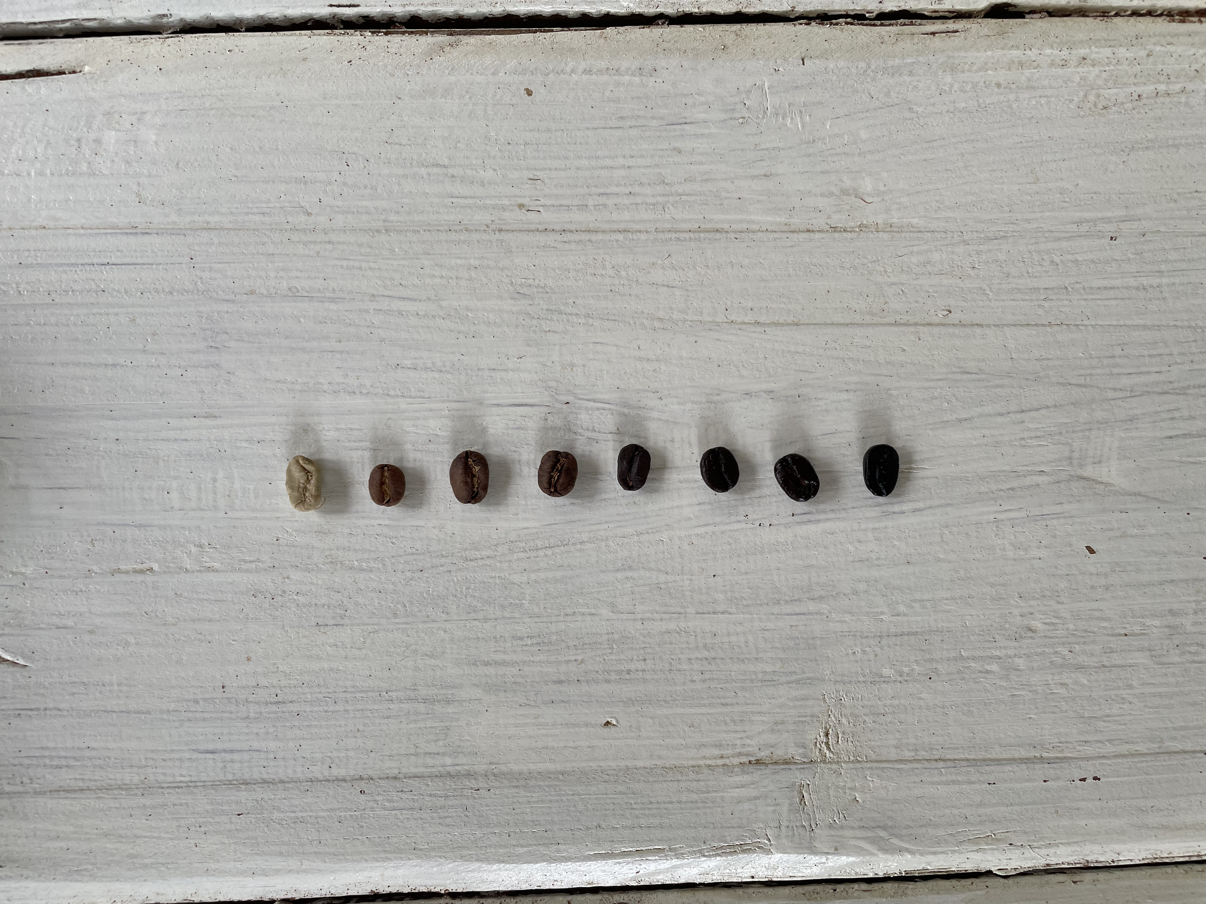 中山コーヒー園