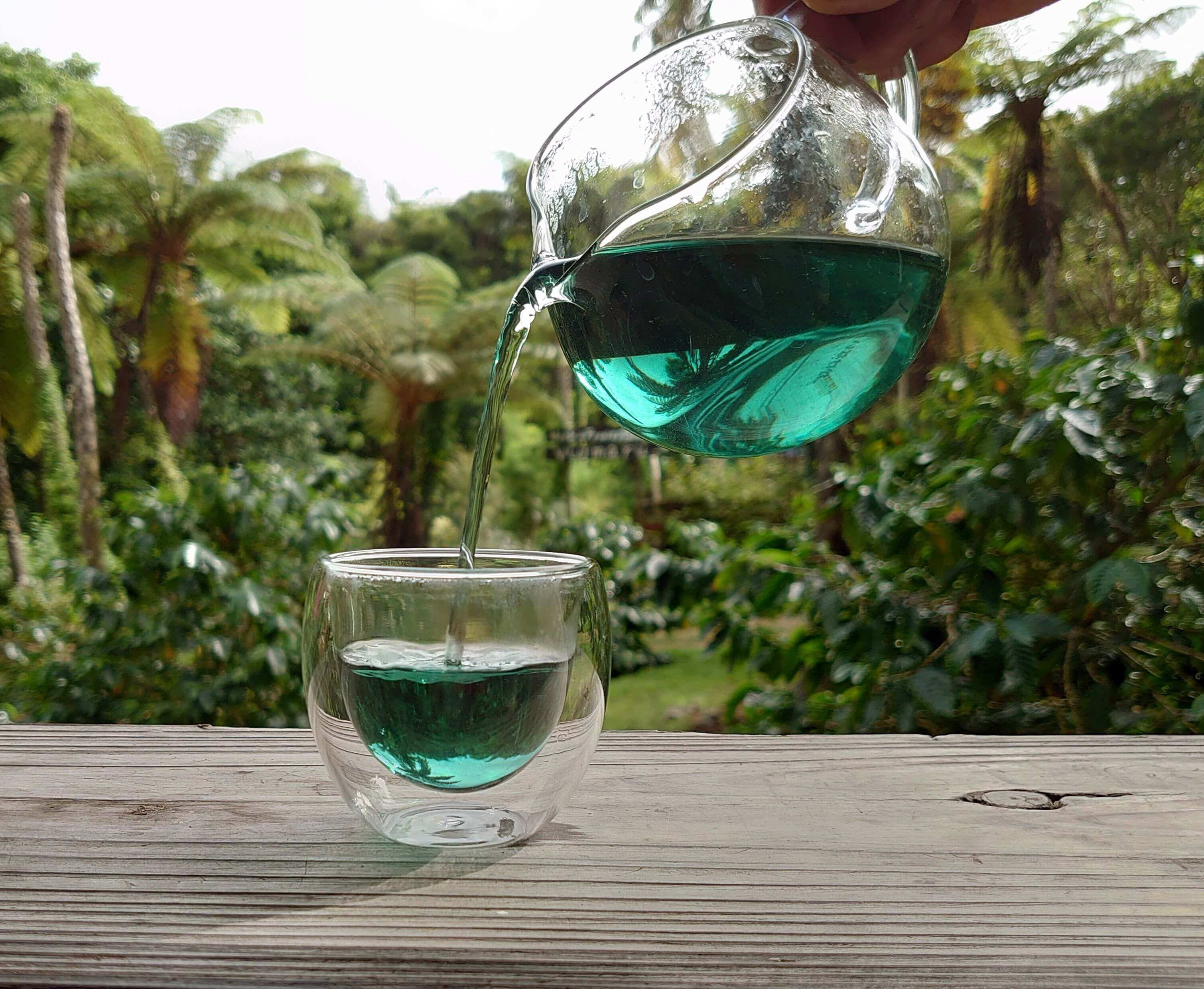 YuiまるHerb Garden