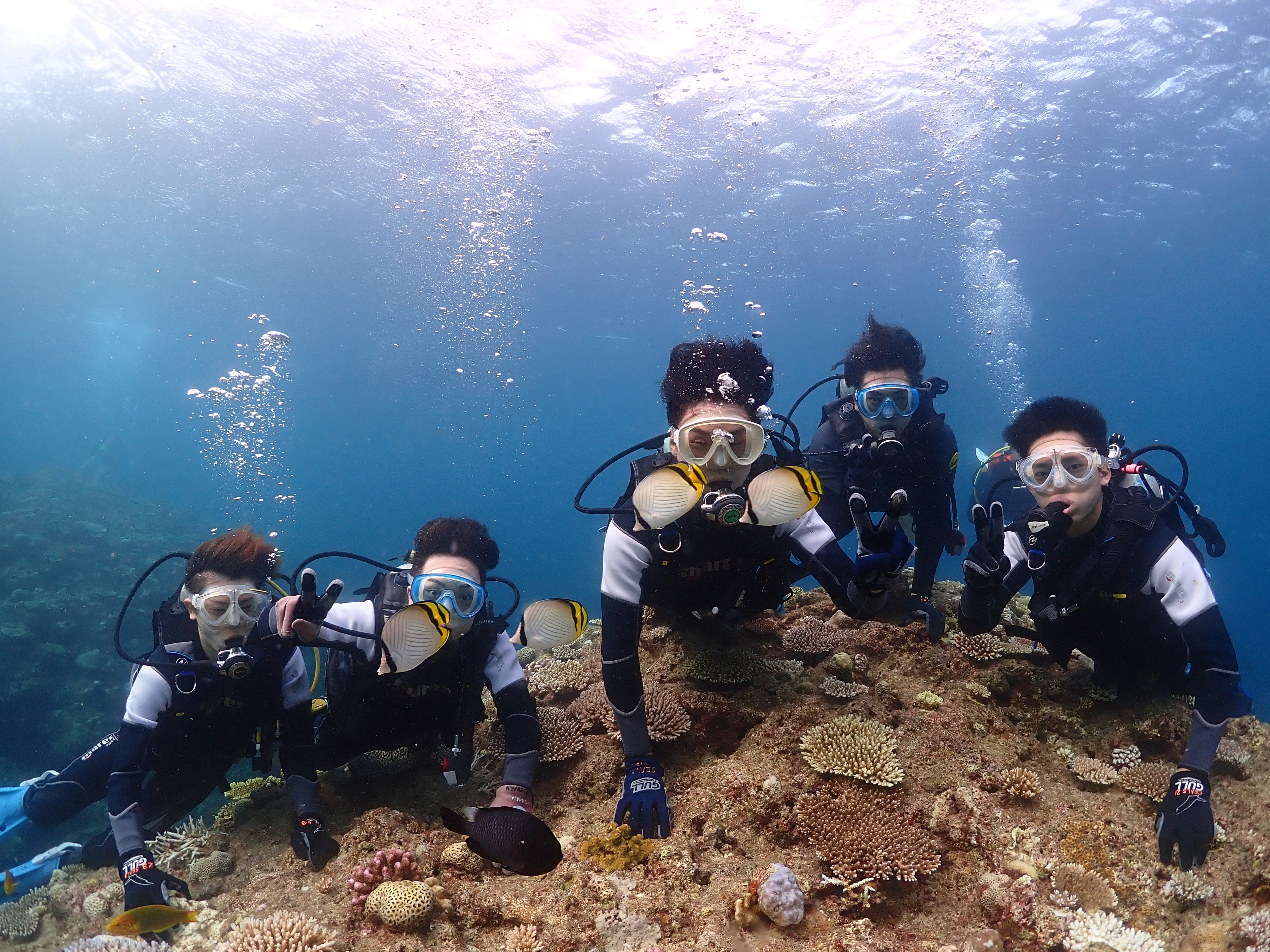 Pro Scuba Team SEALs