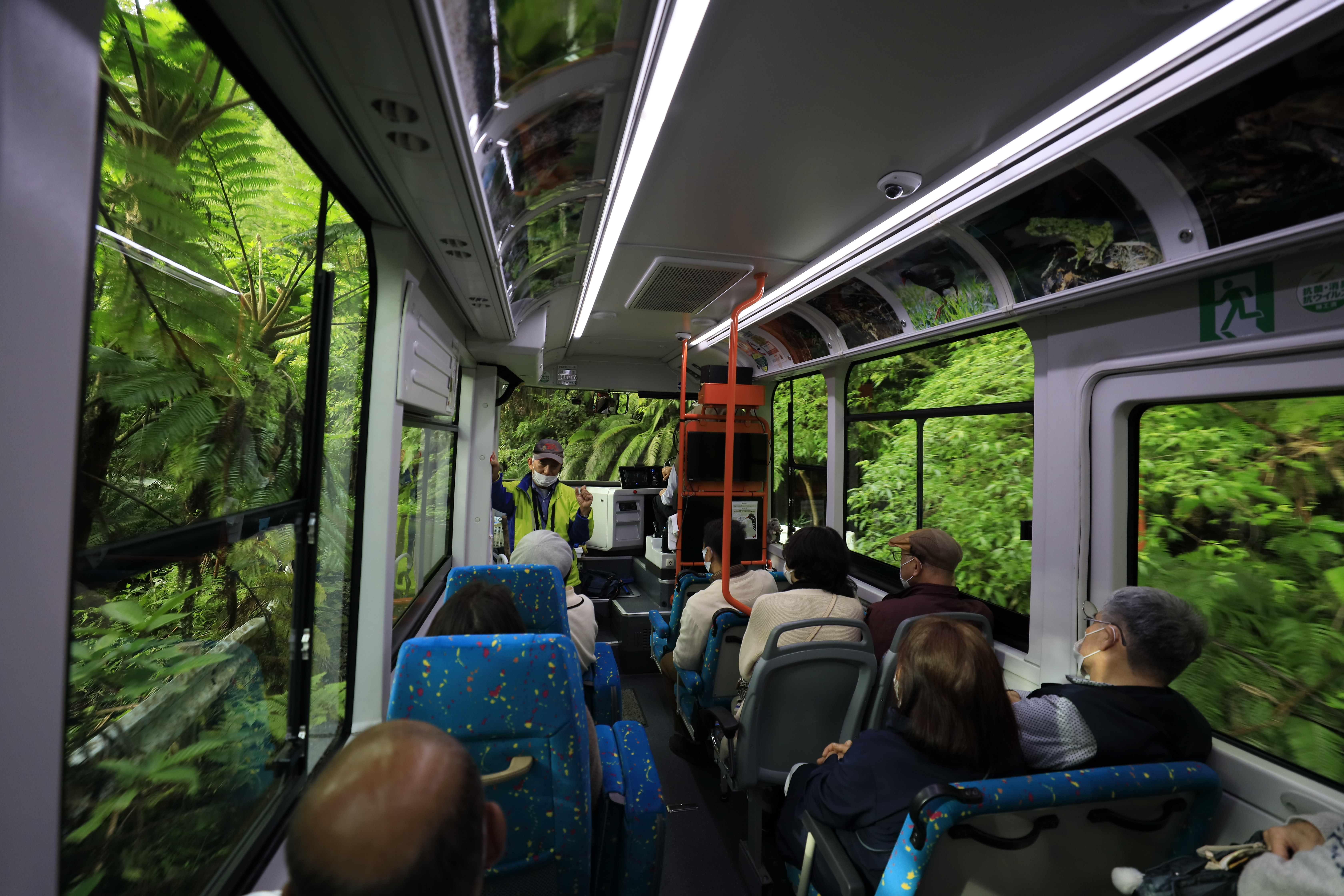 やんばるの森ネイチャーガイドツアー