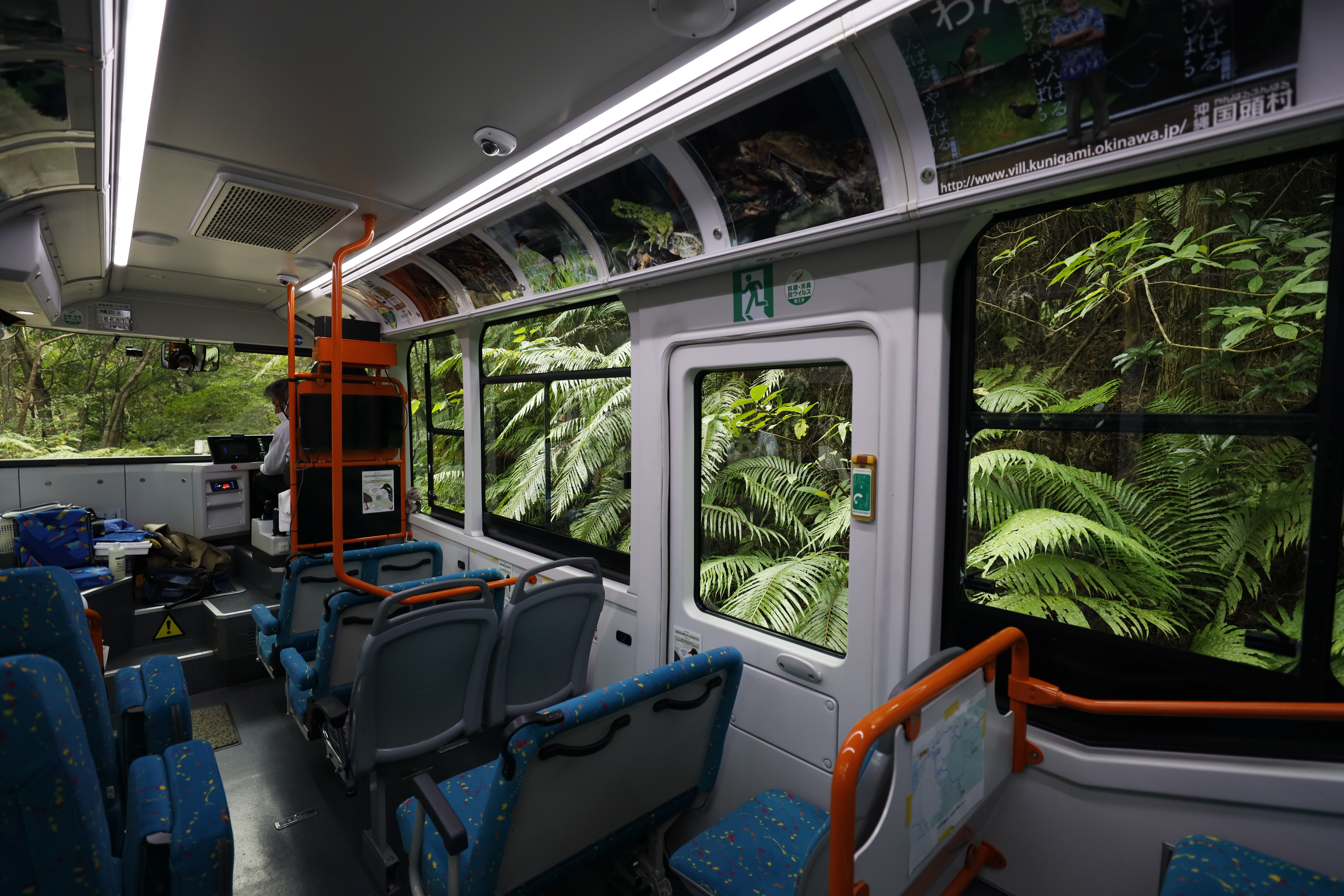 やんばるの森ネイチャーガイドツアー