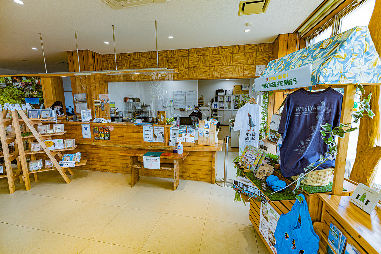 やんばる３村観光案内所