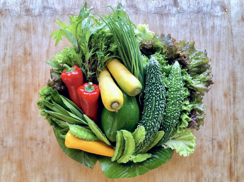 島野菜は石垣島の土壌が育む安全で栄養価も高くユニークな形をしていてカラフル。