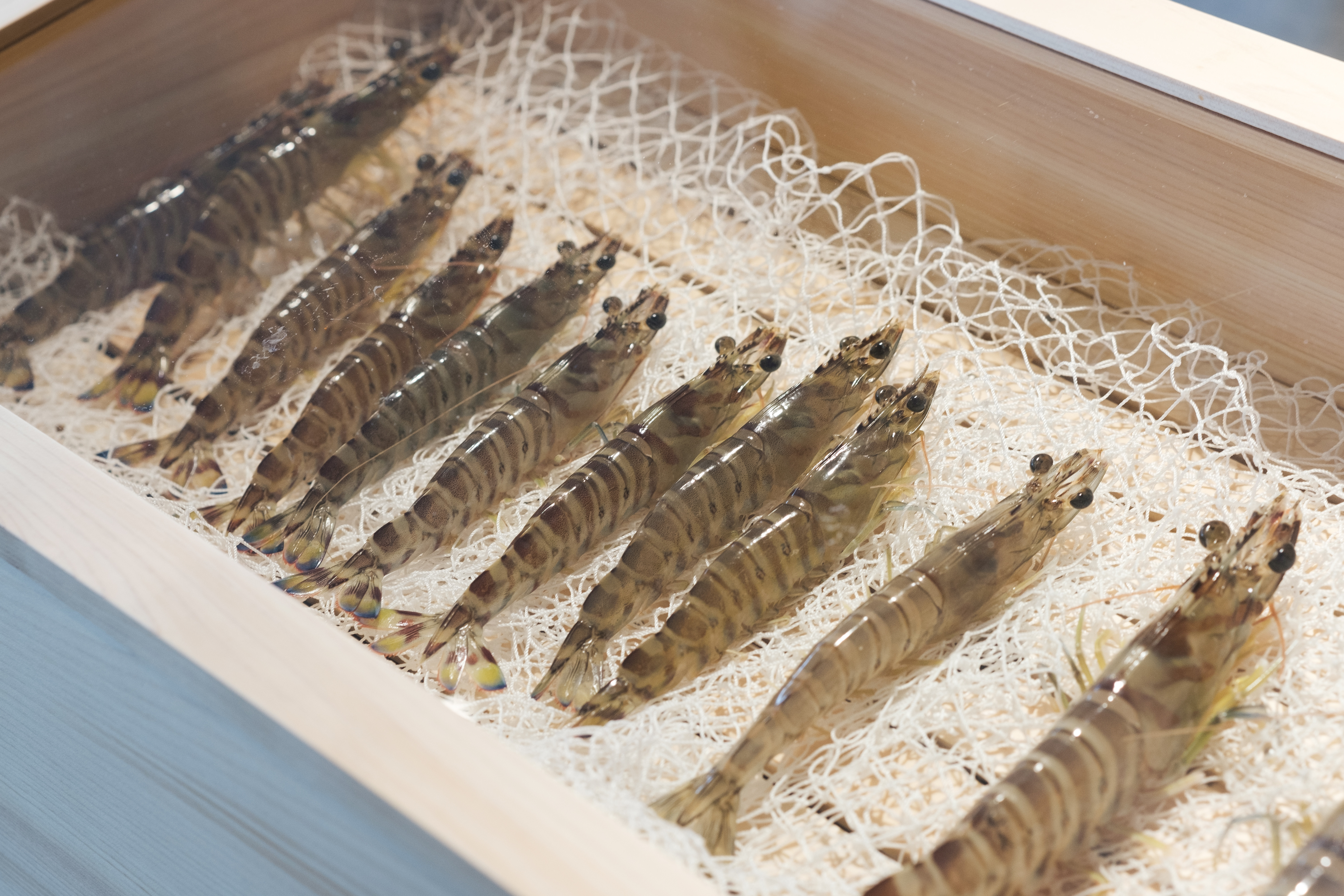 車海老食堂たまや