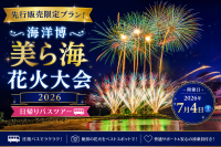 海洋博公園美ら海花火大会イメージ