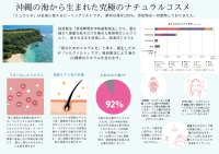 ミネラルの数世界一！沖縄の海からの贈り物。ミネラルパウダーソルトをご体感頂けます。