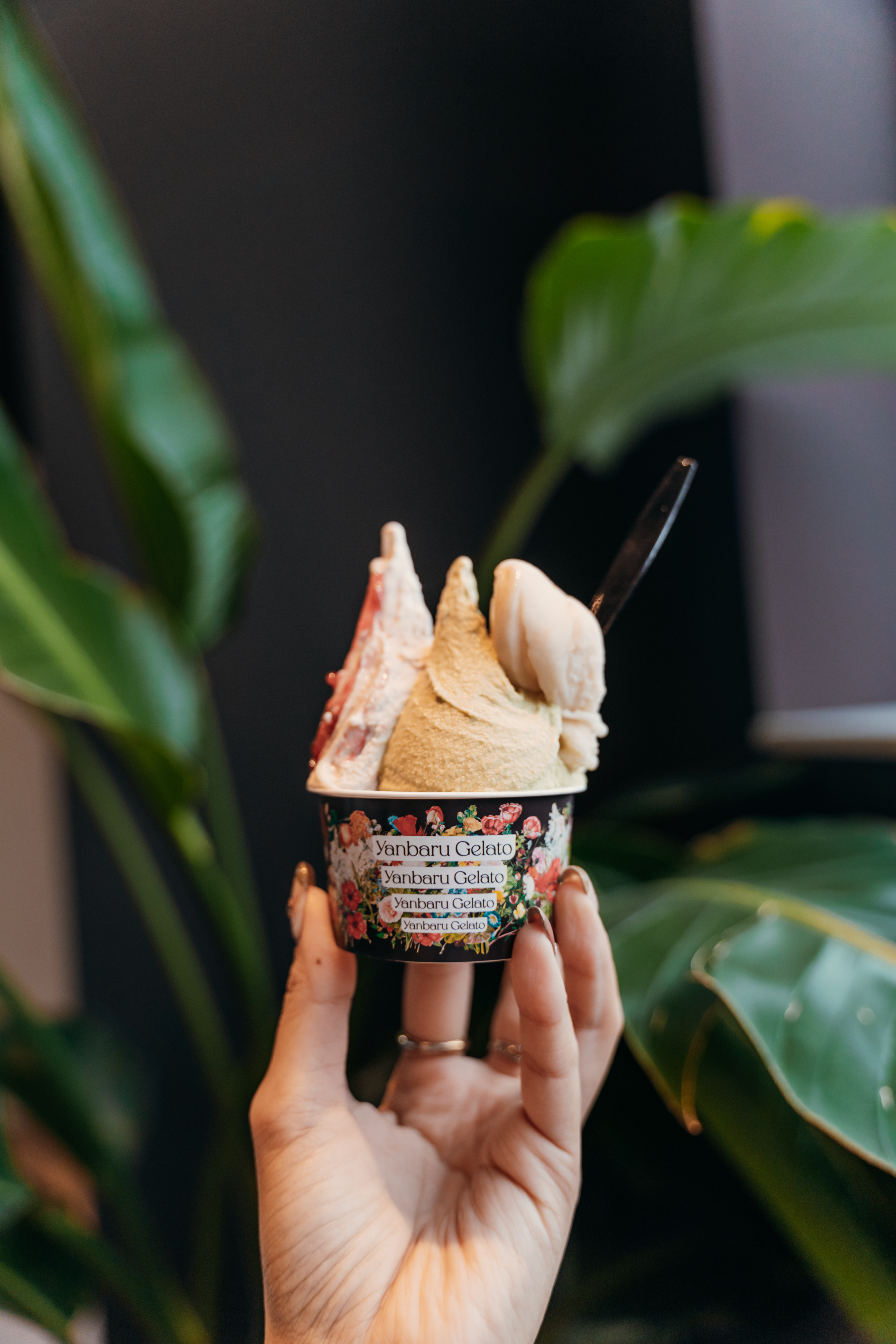 やんばるジェラート 大石林山店