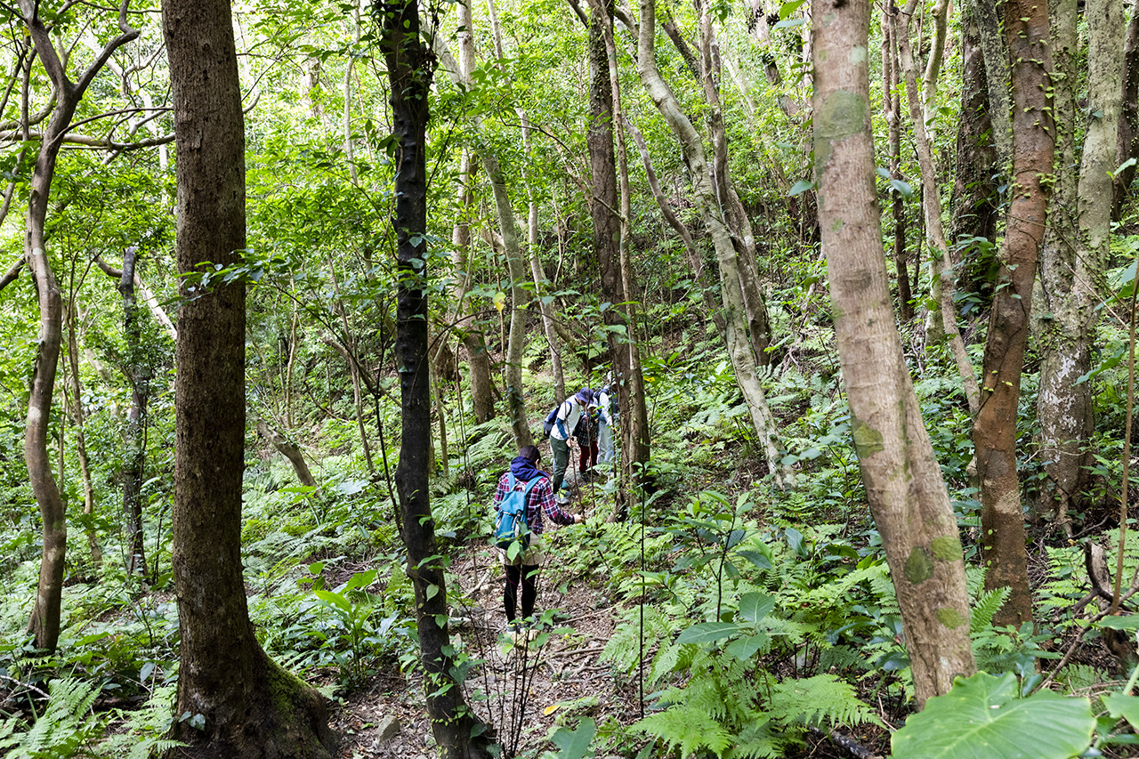 NPO法人おおぎみまるごとツーリズム協会