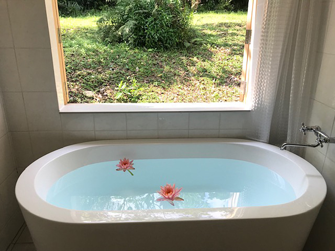 やんばる野草の宿