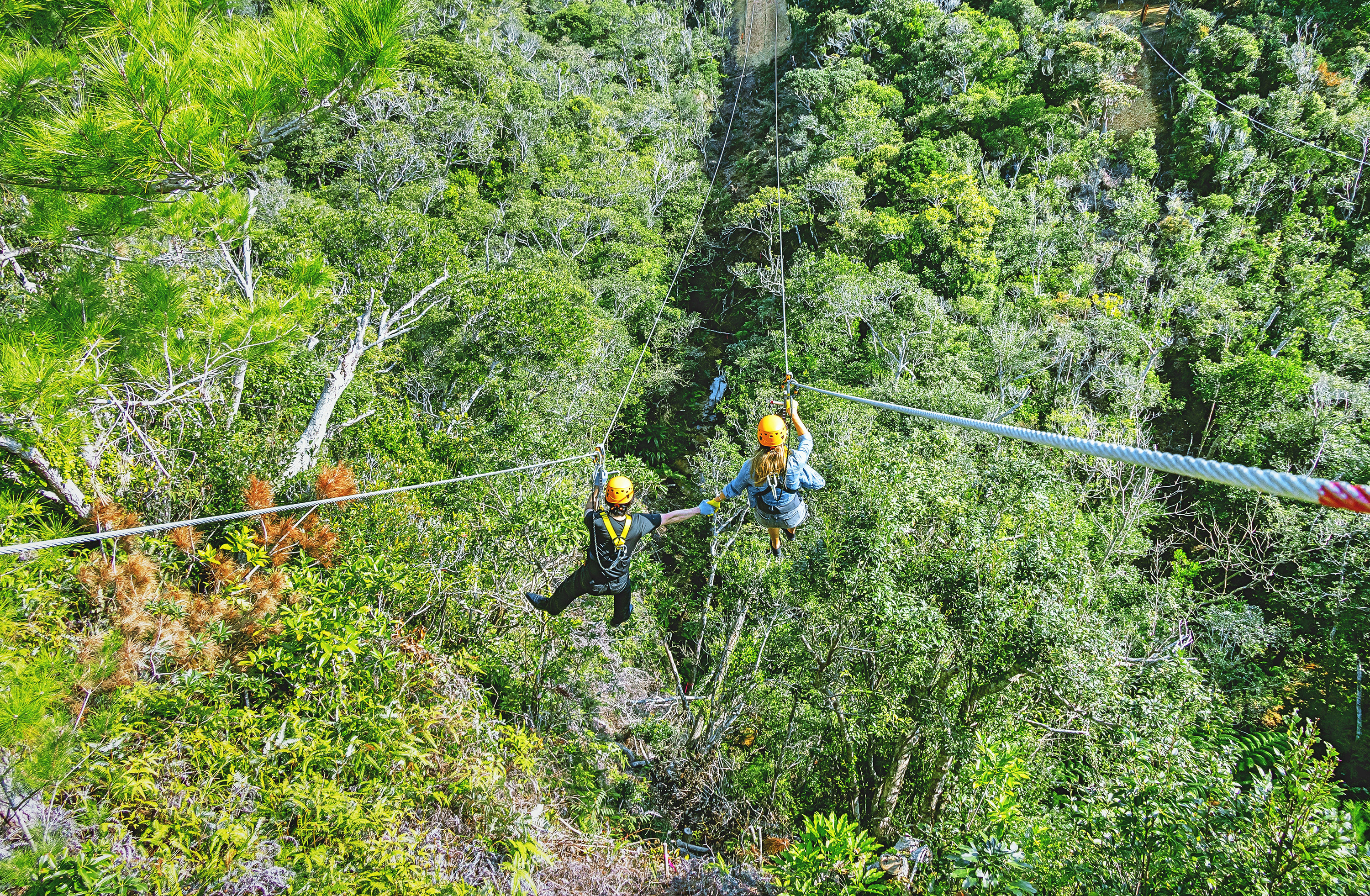 ヤンバルンチャー東村店